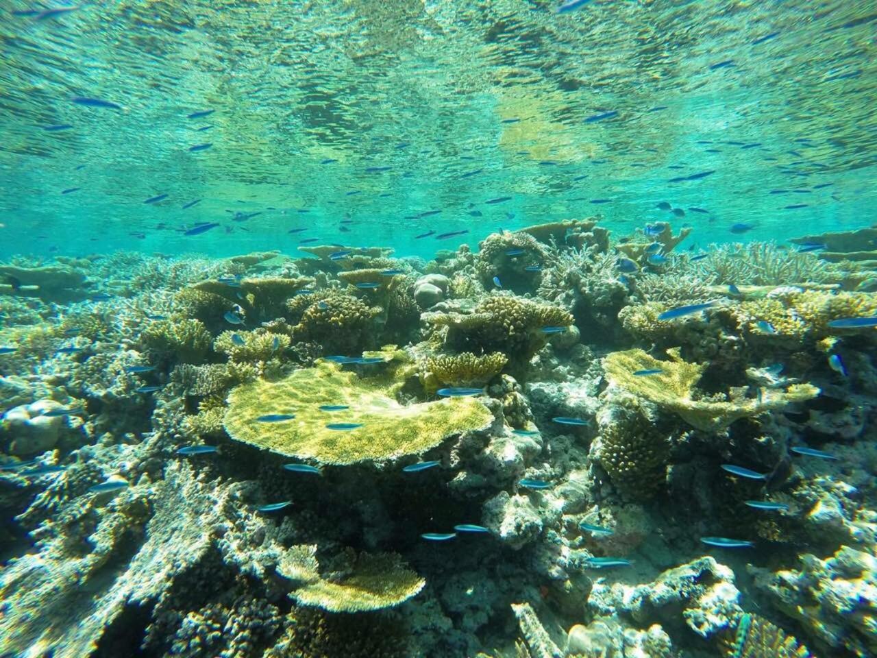 Koimala Beach Ukulhas Luaran gambar