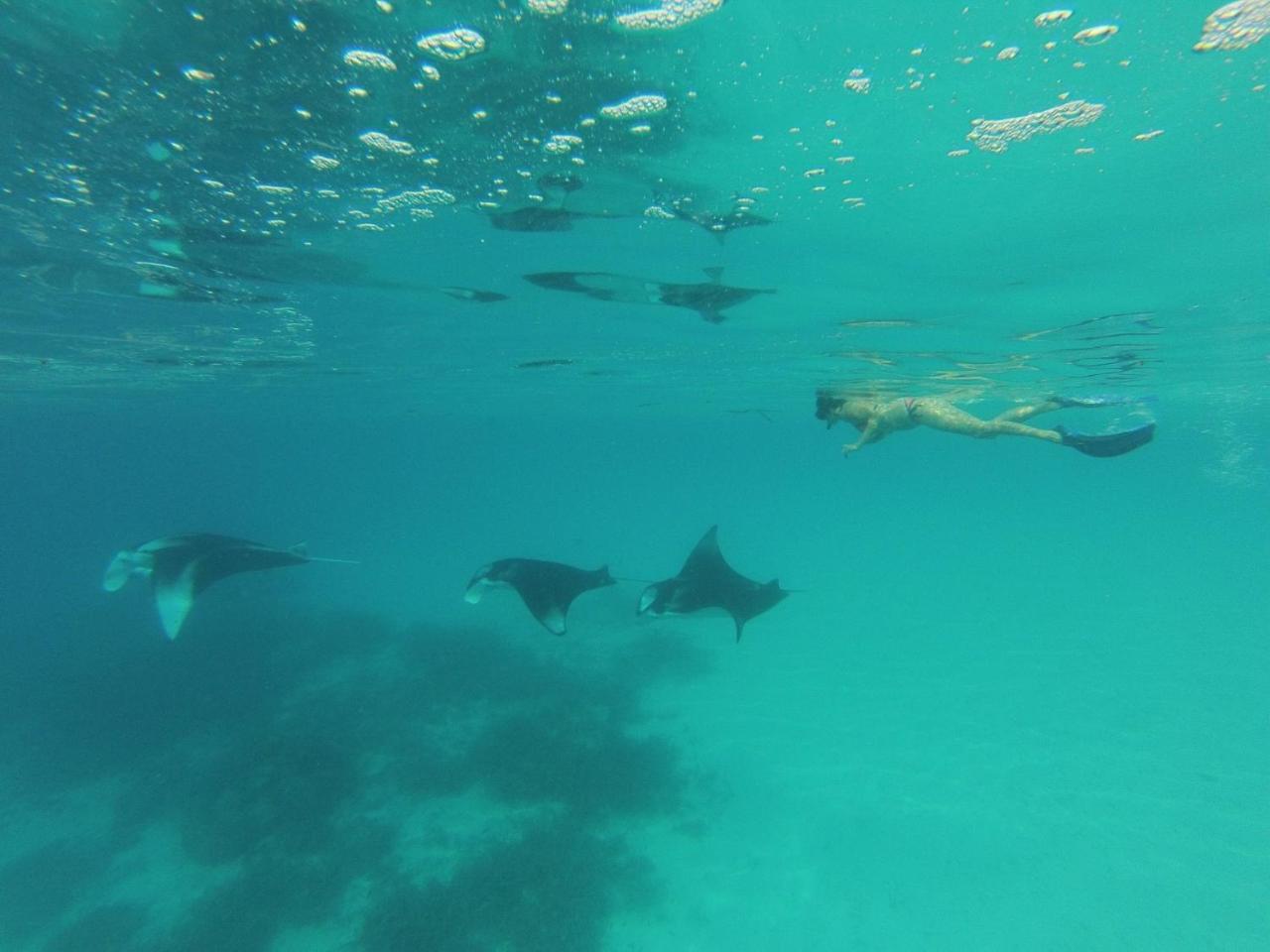 Koimala Beach Ukulhas Luaran gambar